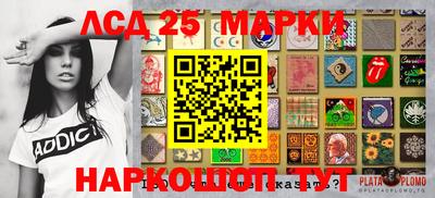 гидропоника Будённовск
